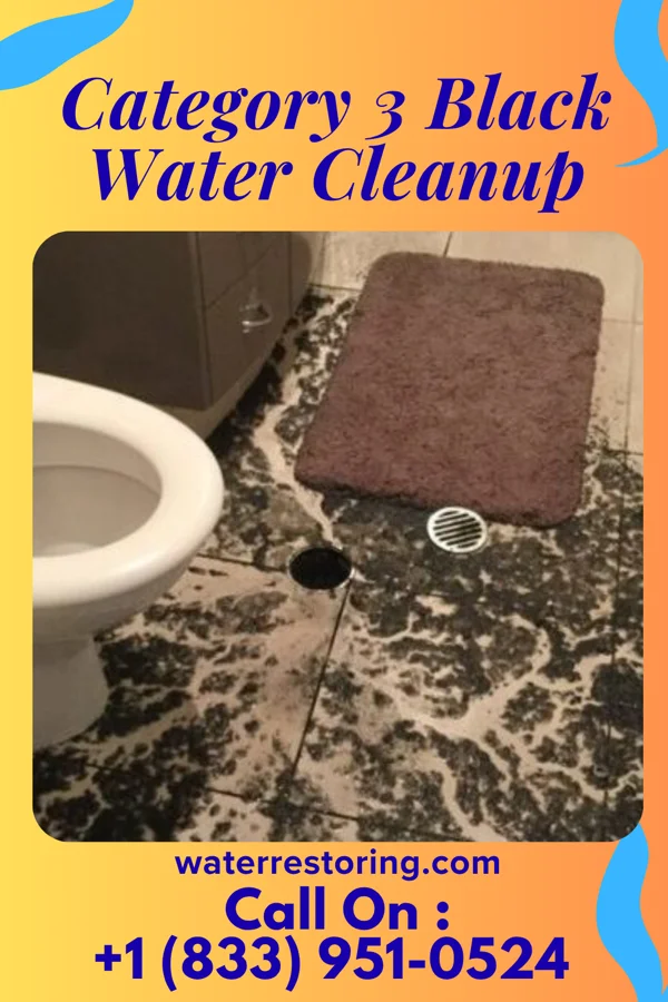 Category 3 Black Water Cleanup in Ada, MN