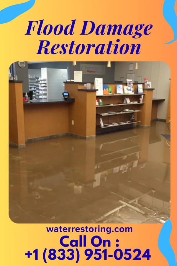 Flood Damage Restoration in Ada, MN